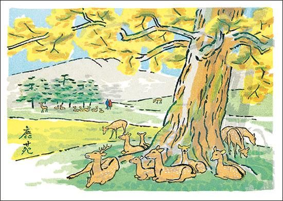 【GINGER掲載商品】 アートカード奈良 奈良公園の鹿 絵葉書