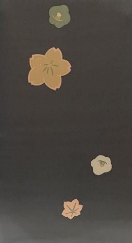 桡졼ϡ