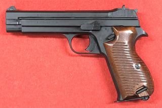 SIG P49/210 SpecialCustomModel