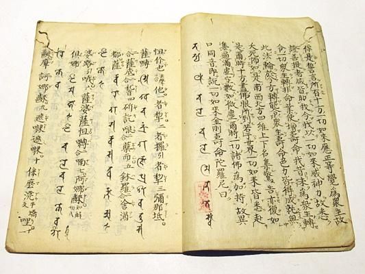 金剛寿命陀羅尼経 金智不空両訳/念持真言理観白文 - 藤沢書店