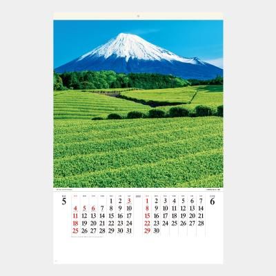 <img class='new_mark_img1' src='https://img.shop-pro.jp/img/new/icons63.gif' style='border:none;display:inline;margin:0px;padding:0px;width:auto;' />SB-250(SG-546)  ٻλ(ե)