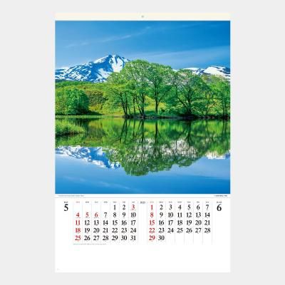<img class='new_mark_img1' src='https://img.shop-pro.jp/img/new/icons43.gif' style='border:none;display:inline;margin:0px;padding:0px;width:auto;' />SB-252 (ե)