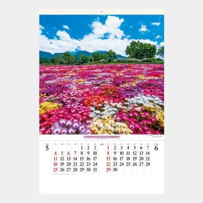 <img class='new_mark_img1' src='https://img.shop-pro.jp/img/new/icons43.gif' style='border:none;display:inline;margin:0px;padding:0px;width:auto;' />SB-253 ֵ(ե)