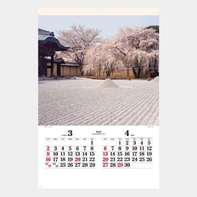 <img class='new_mark_img1' src='https://img.shop-pro.jp/img/new/icons63.gif' style='border:none;display:inline;margin:0px;padding:0px;width:auto;' />SG-503(SB-290)  ̾(ե)