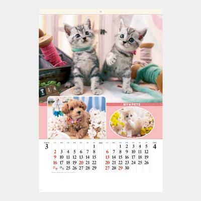 <img class='new_mark_img1' src='https://img.shop-pro.jp/img/new/icons63.gif' style='border:none;display:inline;margin:0px;padding:0px;width:auto;' />SB-270(SG-543)  ޥڥå(ե)