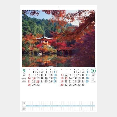 <img class='new_mark_img1' src='https://img.shop-pro.jp/img/new/icons63.gif' style='border:none;display:inline;margin:0px;padding:0px;width:auto;' />SG-203  ܤ()