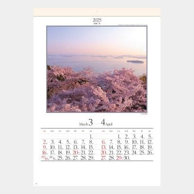 <img class='new_mark_img1' src='https://img.shop-pro.jp/img/new/icons43.gif' style='border:none;display:inline;margin:0px;padding:0px;width:auto;' />SG-207  ͵ϻ()