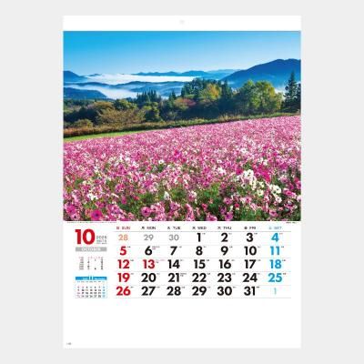 <img class='new_mark_img1' src='https://img.shop-pro.jp/img/new/icons43.gif' style='border:none;display:inline;margin:0px;padding:0px;width:auto;' />SG-260  ܴѸ