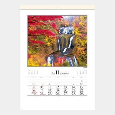 <img class='new_mark_img1' src='https://img.shop-pro.jp/img/new/icons63.gif' style='border:none;display:inline;margin:0px;padding:0px;width:auto;' />SG-263  ͵