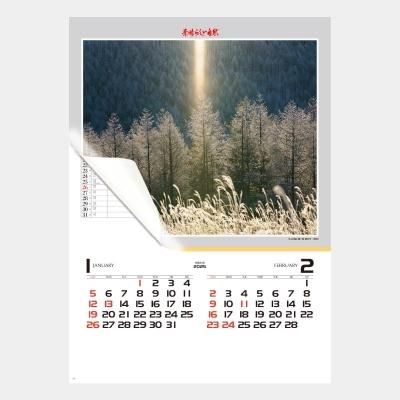 <img class='new_mark_img1' src='https://img.shop-pro.jp/img/new/icons63.gif' style='border:none;display:inline;margin:0px;padding:0px;width:auto;' />NK-116  餷(å)