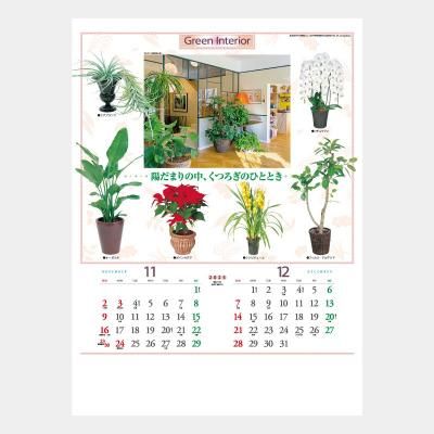 <img class='new_mark_img1' src='https://img.shop-pro.jp/img/new/icons63.gif' style='border:none;display:inline;margin:0px;padding:0px;width:auto;' />TD-917  տʪ뤷
