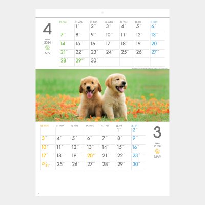 <img class='new_mark_img1' src='https://img.shop-pro.jp/img/new/icons51.gif' style='border:none;display:inline;margin:0px;padding:0px;width:auto;' />SG-197  THE DOGS(ミシン目入)