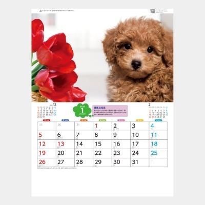 <img class='new_mark_img1' src='https://img.shop-pro.jp/img/new/icons43.gif' style='border:none;display:inline;margin:0px;padding:0px;width:auto;' />SA-341  ȥ롦ڥå