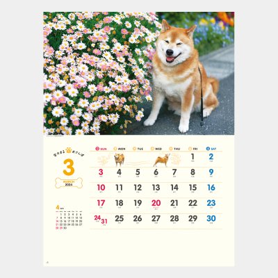 NK-35  柴犬まるとおさんぽカレンダー