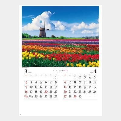 <img class='new_mark_img1' src='https://img.shop-pro.jp/img/new/icons63.gif' style='border:none;display:inline;margin:0px;padding:0px;width:auto;' />NK-28  衼å