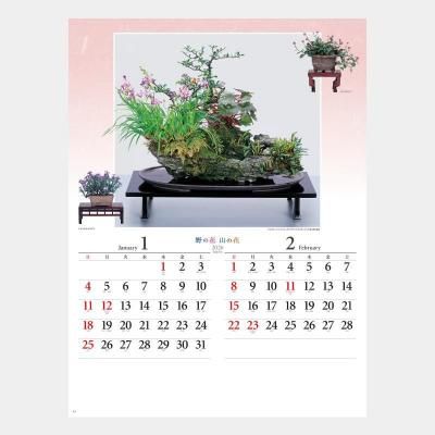 NK-46  野の花・山の花(山野草盆栽集)