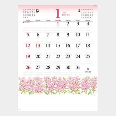 <img class='new_mark_img1' src='https://img.shop-pro.jp/img/new/icons63.gif' style='border:none;display:inline;margin:0px;padding:0px;width:auto;' />NK-173  ե꡼
