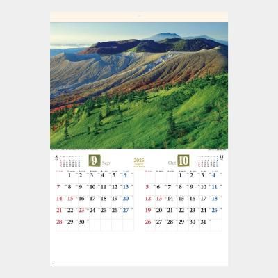 <img class='new_mark_img1' src='https://img.shop-pro.jp/img/new/icons63.gif' style='border:none;display:inline;margin:0px;padding:0px;width:auto;' />SG-416  ͵