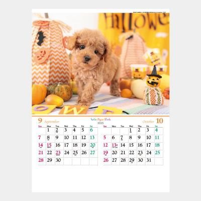 <img class='new_mark_img1' src='https://img.shop-pro.jp/img/new/icons43.gif' style='border:none;display:inline;margin:0px;padding:0px;width:auto;' />TD-931  ˥󡦥ѡ