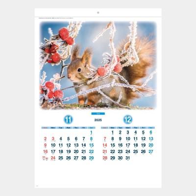 <img class='new_mark_img1' src='https://img.shop-pro.jp/img/new/icons43.gif' style='border:none;display:inline;margin:0px;padding:0px;width:auto;' />SB-125 