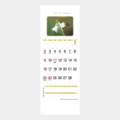 YK-2043  B/8ץƥ꡼()