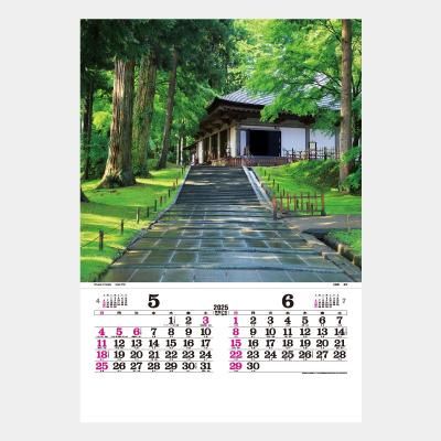 <img class='new_mark_img1' src='https://img.shop-pro.jp/img/new/icons63.gif' style='border:none;display:inline;margin:0px;padding:0px;width:auto;' />TD-502  ܤξ ȡϥDX(ե)