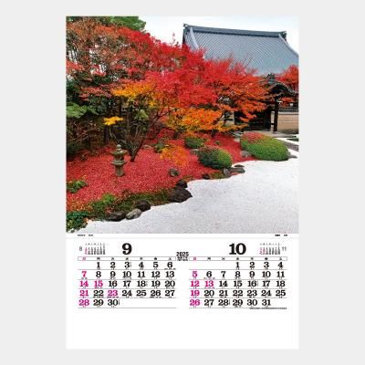 <img class='new_mark_img1' src='https://img.shop-pro.jp/img/new/icons43.gif' style='border:none;display:inline;margin:0px;padding:0px;width:auto;' />TD-510   ȡϥDX(ե)