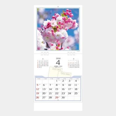 <img class='new_mark_img1' src='https://img.shop-pro.jp/img/new/icons47.gif' style='border:none;display:inline;margin:0px;padding:0px;width:auto;' />SB-150 ӥ󥰥