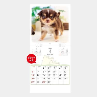 <img class='new_mark_img1' src='https://img.shop-pro.jp/img/new/icons63.gif' style='border:none;display:inline;margin:0px;padding:0px;width:auto;' />SB-151 ペットアルバム