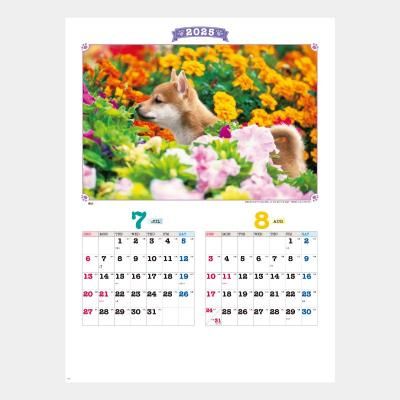 <img class='new_mark_img1' src='https://img.shop-pro.jp/img/new/icons43.gif' style='border:none;display:inline;margin:0px;padding:0px;width:auto;' />ND-106(SG-216)  ϥåԡե