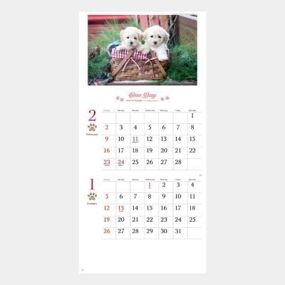 <img class='new_mark_img1' src='https://img.shop-pro.jp/img/new/icons63.gif' style='border:none;display:inline;margin:0px;padding:0px;width:auto;' />NK-904  ǥ(ʸ)