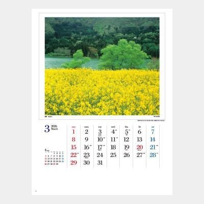 <img class='new_mark_img1' src='https://img.shop-pro.jp/img/new/icons63.gif' style='border:none;display:inline;margin:0px;padding:0px;width:auto;' />HB-14 四季彩光(前田真三特選集)