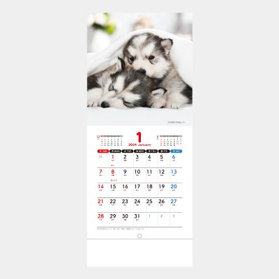 <img class='new_mark_img1' src='https://img.shop-pro.jp/img/new/icons51.gif' style='border:none;display:inline;margin:0px;padding:0px;width:auto;' />SM-100  Pretty Dogs