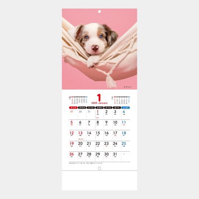<img class='new_mark_img1' src='https://img.shop-pro.jp/img/new/icons50.gif' style='border:none;display:inline;margin:0px;padding:0px;width:auto;' />SM-100  Pretty Dogs