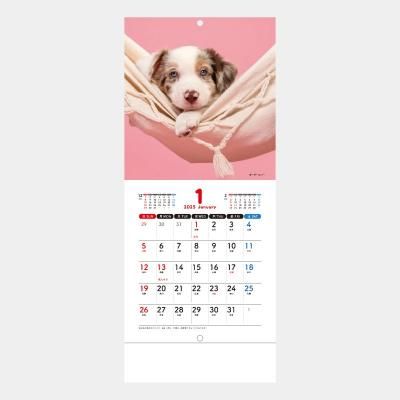 <img class='new_mark_img1' src='https://img.shop-pro.jp/img/new/icons43.gif' style='border:none;display:inline;margin:0px;padding:0px;width:auto;' />SM-100  Pretty Dogs