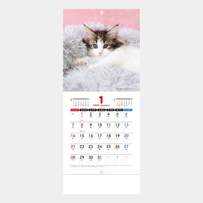 <img class='new_mark_img1' src='https://img.shop-pro.jp/img/new/icons51.gif' style='border:none;display:inline;margin:0px;padding:0px;width:auto;' />SM-105  Sweet Cats