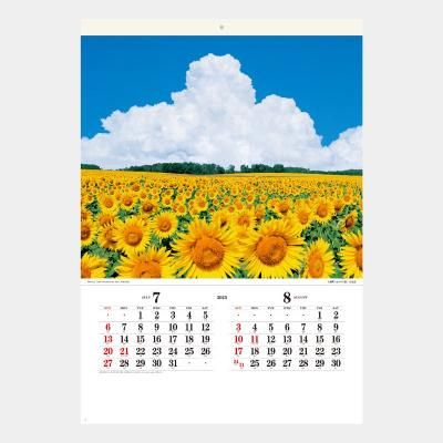 <img class='new_mark_img1' src='https://img.shop-pro.jp/img/new/icons43.gif' style='border:none;display:inline;margin:0px;padding:0px;width:auto;' />SB-279 ͵κ(ե)