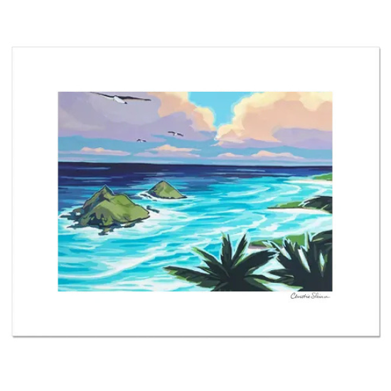 Christie Shinn<br>ȥץ<br>