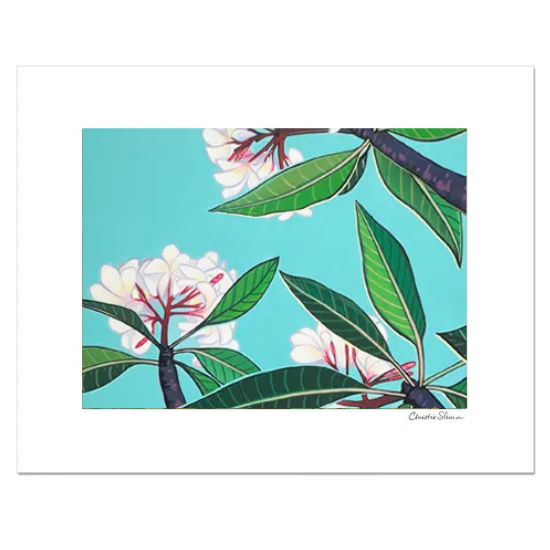 Christie Shinn<br>ȥץ<br>