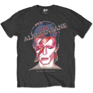 DAVID BOWIE Aladdin Sane Grey, T