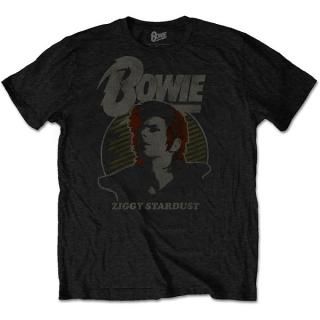 DAVID BOWIE Vintage Ziggy, T