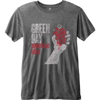 GREEN DAY American Idiot Vintage With Burn Out Finishing, Tシャツ