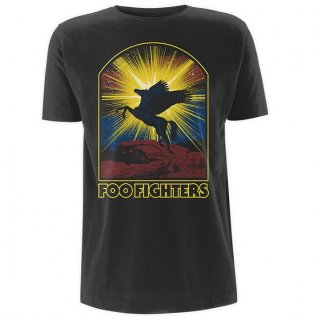 FOO FIGHTERS Winged Hhorse, T