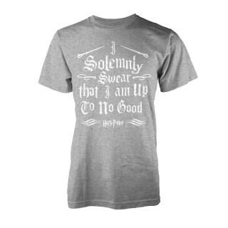 HARRY POTTER Solemnly Swear, T