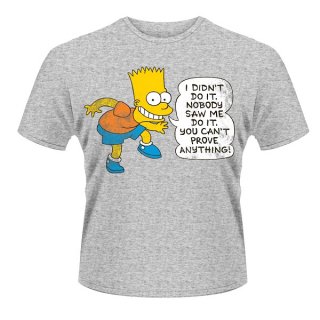 THE SIMPSONS Didn't Do It, Tシャツ