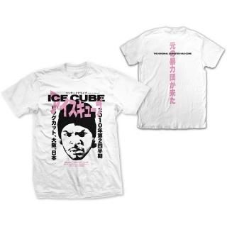 【超希少】90's ICE CUBE Tシャツ 激レア】ICE CUBE Tシャツ 90年代 アイスキューブ ラッパーT