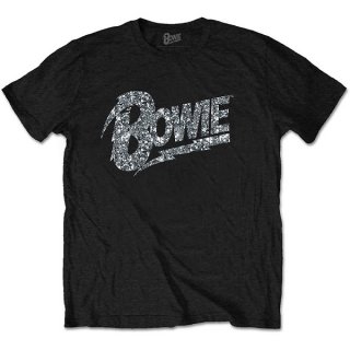 DAVID BOWIE Flash Logo, Tシャツ<img class='new_mark_img2' src='https://img.shop-pro.jp/img/new/icons5.gif' style='border:none;display:inline;margin:0px;padding:0px;width:auto;' />