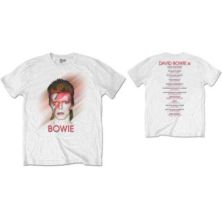 DAVID BOWIE Bowie Is, T<img class='new_mark_img2' src='https://img.shop-pro.jp/img/new/icons5.gif' style='border:none;display:inline;margin:0px;padding:0px;width:auto;' />