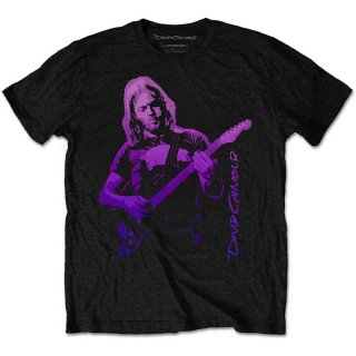 DAVID GILMOUR Pig Gradient, Tシャツ<img class='new_mark_img2' src='https://img.shop-pro.jp/img/new/icons5.gif' style='border:none;display:inline;margin:0px;padding:0px;width:auto;' />