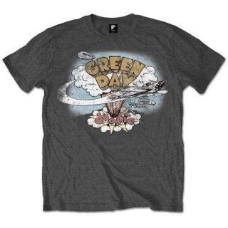 GREEN DAY Dookie Vintage 3, Tシャツ<img class='new_mark_img2' src='https://img.shop-pro.jp/img/new/icons5.gif' style='border:none;display:inline;margin:0px;padding:0px;width:auto;' />